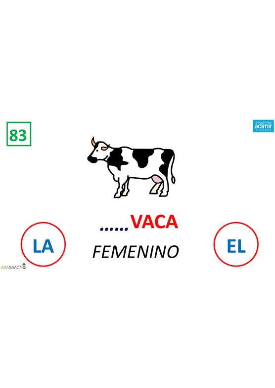 Artículos determinados | Adimir