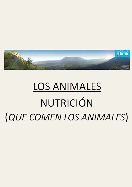 Power point: el reino animal