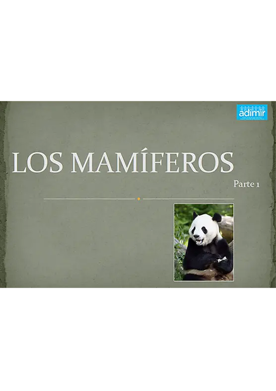 Power point: los mamíferos