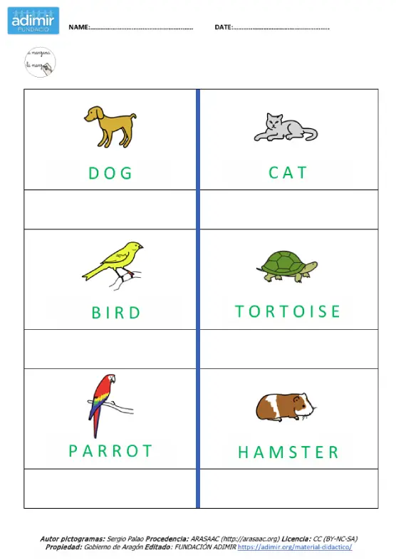 vocabulario animales domésticos