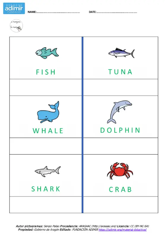 vocabulario animales marinos