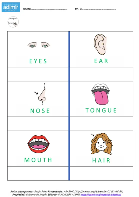 vocabulario cara I