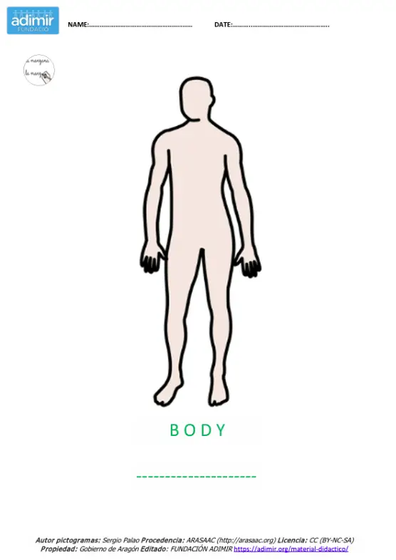 vocabulario partes del cuerpo I