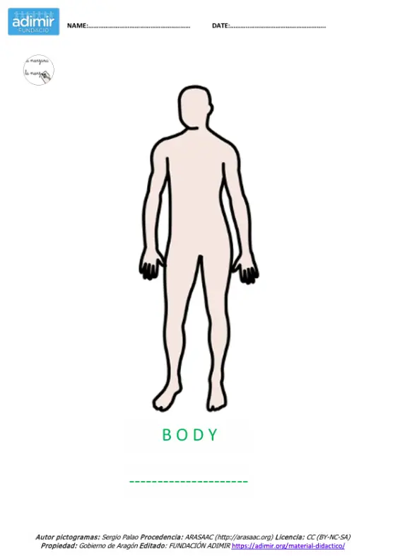 vocabulario partes del cuerpo II